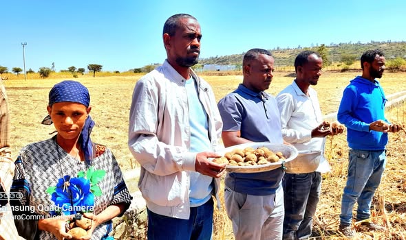 አርሶ አደሩ የተለያዩ የውሃ አማራጮችን ተጠቅሞ በዓመት ከሶስት ጊዜ በላይ አምርቶ የምግብ ዋስትናውን በማረጋገጥ ከተረጂነት መላቀቅ እንዲችል ድጋፎችን ማጠናከር እንደሚገባ የላንፉሮ ወረዳ ዋና አስተዳዳሪ አቶ ሸምሴ ጉንዳ ገለጹ!